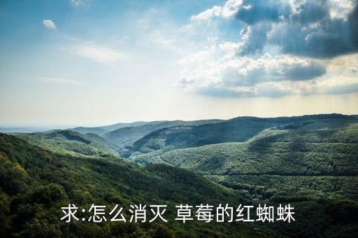 什么農(nóng)藥殺草莓螨蟲(chóng)效果好,用什么農(nóng)藥可以殺螨蟲(chóng)