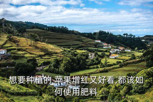 富士蘋果入庫前噴什么農(nóng)藥