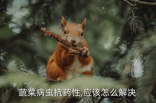 青菜生霉菌用什么農藥好,土壤霉菌用什么農藥