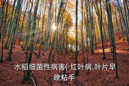  水稻細菌性病害( 紅葉病,葉片早晚粘手