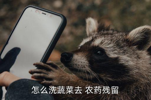 蔬果用什么方式除農(nóng)藥最好,農(nóng)藥自盡什么方式最好