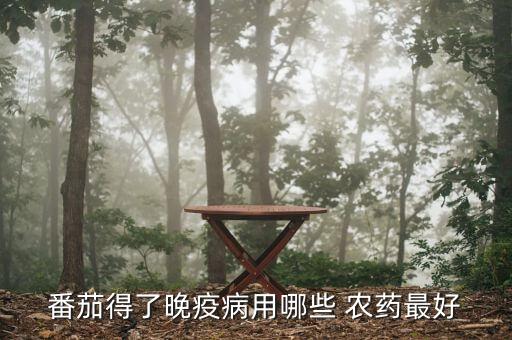 西紅柿用什么農(nóng)藥,種植西紅柿用什么農(nóng)藥