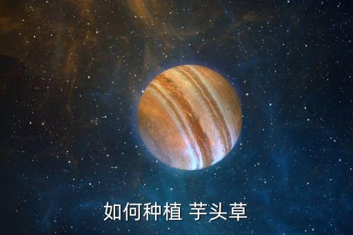 如何種植 芋頭草