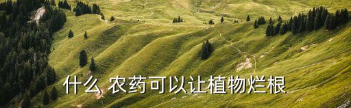 什么 農藥可以讓植物爛根