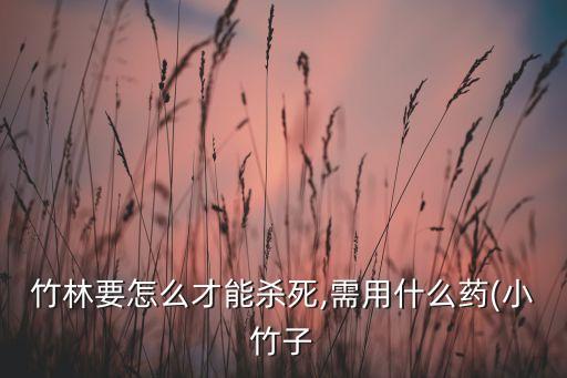 陰雨天用什么農(nóng)藥好