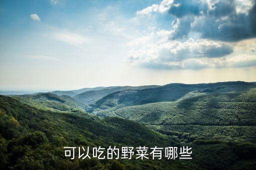 可以吃的野菜有哪些