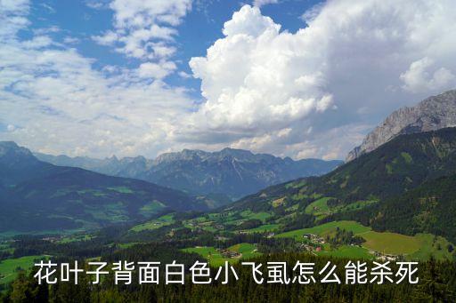 什么農藥能殺滅粉虱蟲卵,殺滅蜘蛛用什么農藥