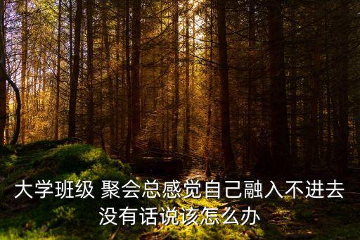 大學班級 聚會總感覺自己融入不進去沒有話說該怎么辦