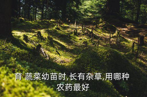 育 蔬菜幼苗時,長有雜草,用哪種 農藥最好