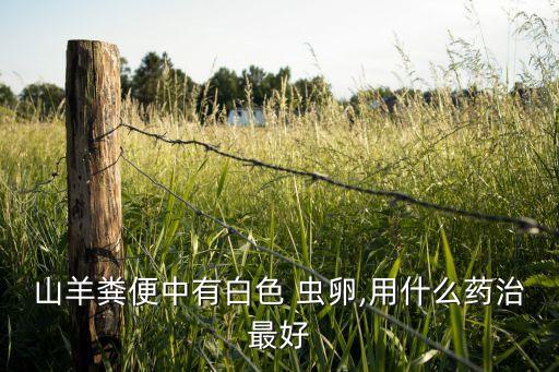 什么農藥殺死羊毛蟲卵,打蟲卵的農藥有什么