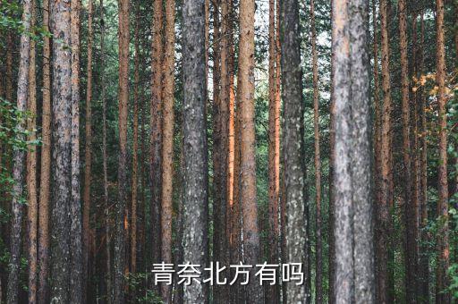 青奈北方有嗎