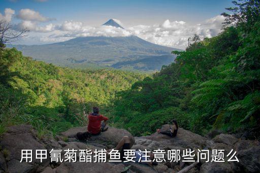 用甲氰菊酯捕魚要注意哪些問題么