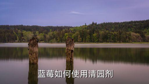 藍莓該用什么有機農藥,藍莓要噴什么農藥