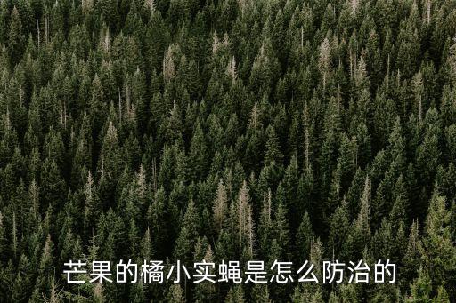  芒果的橘小實蠅是怎么防治的
