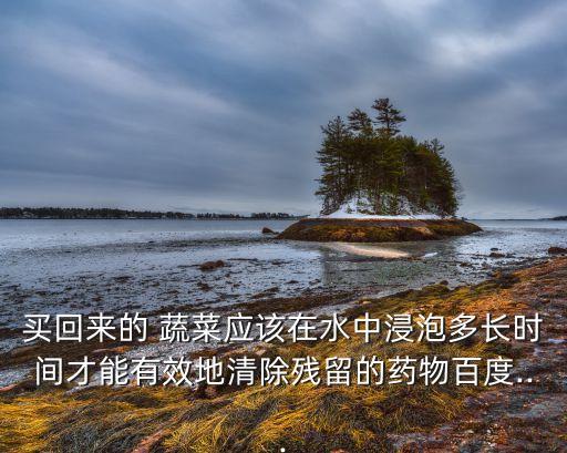 買回來的 蔬菜應該在水中浸泡多長時間才能有效地清除殘留的藥物百度...