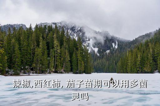 辣椒,西紅柿, 茄子苗期可以用多菌靈嗎