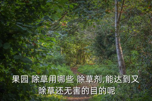 什么農藥除草不傷果樹根,冬天用什么農藥除草