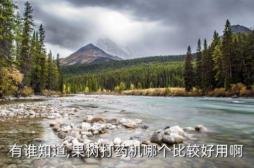 什么牌子的農藥機好些耐用,老人機什么牌子質量好些