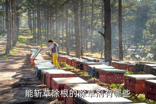 什么農藥滅雜草快,春季雜草用什么農藥效果好