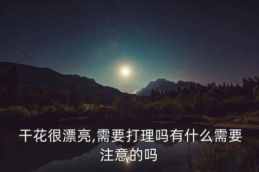 干花預(yù)防發(fā)霉嗎用什么農(nóng)藥