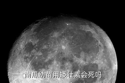  南瓜幼苗用矮壯素會(huì)死嗎