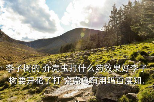 李子樹的 介殼蟲打什么藥效果好李子樹要開花了打 介殼蟲有用嗎百度知...