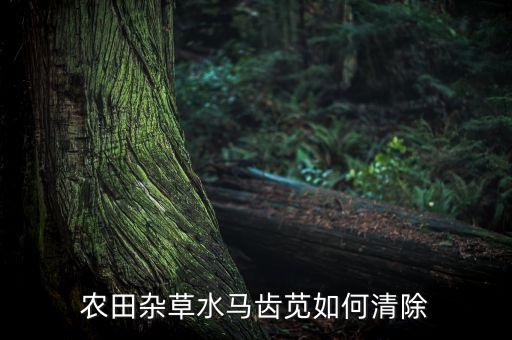 打什么農藥殺滅螞蚱菜,螞蚱用什么農藥最好