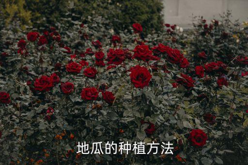 地瓜藤用什么農藥