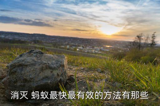什么農藥滅螞蟻效果好,螞蟻用什么農藥可以除掉它