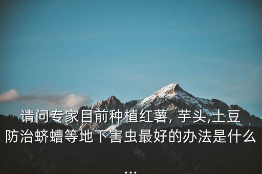 芋頭花用什么農藥殺菌