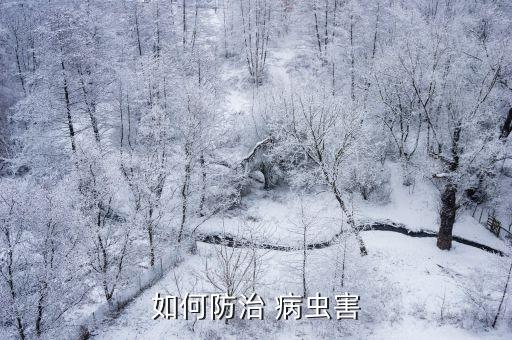 如何防治 病蟲害