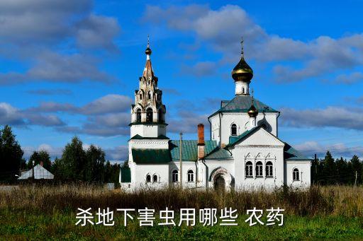 什么農藥可以消蟲,蚧殼蟲用什么農藥效果好