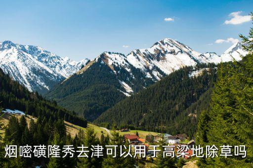 高粱開花之前田什么農(nóng)藥,高粱煮開花什么狀態(tài)