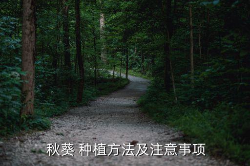  秋葵 種植方法及注意事項