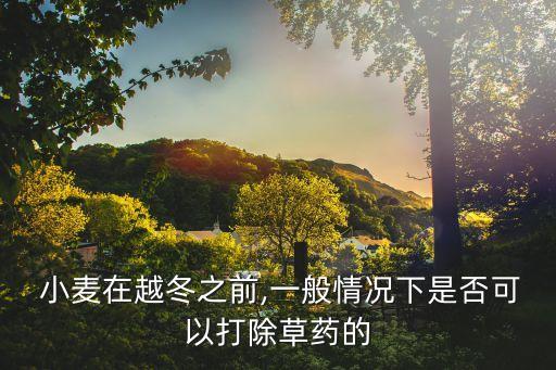  小麥在越冬之前,一般情況下是否可以打除草藥的