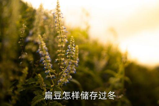  扁豆怎樣儲存過冬