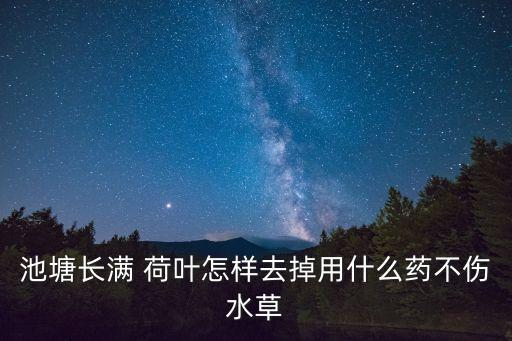 池塘長滿 荷葉怎樣去掉用什么藥不傷水草