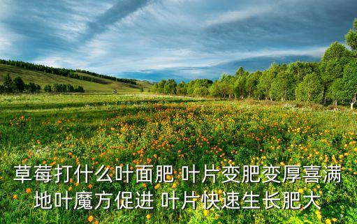 葉片厚用什么農藥好使,葉片上的蟲子用什么農藥