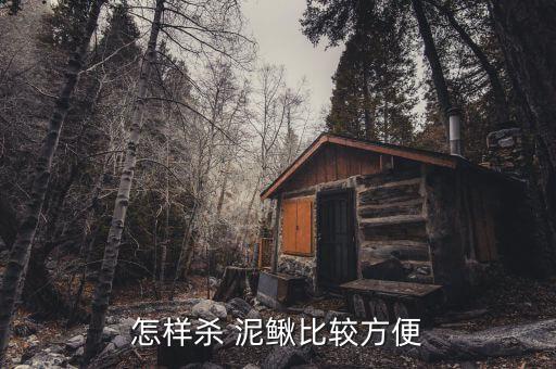 怎樣殺 泥鰍比較方便