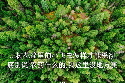 金桔長蟲了用什么農(nóng)藥殺蟲