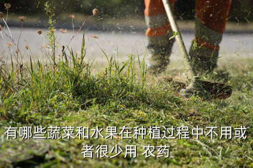 有哪些蔬菜和水果在種植過程中不用或者很少用 農(nóng)藥