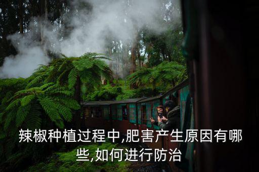辣椒忌施什么肥和農(nóng)藥,辣椒結(jié)果了應(yīng)該施什么肥
