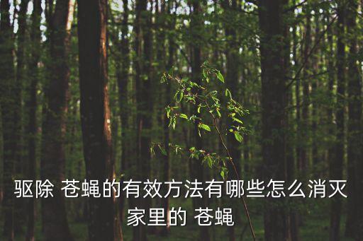 驅(qū)除 蒼蠅的有效方法有哪些怎么消滅家里的 蒼蠅