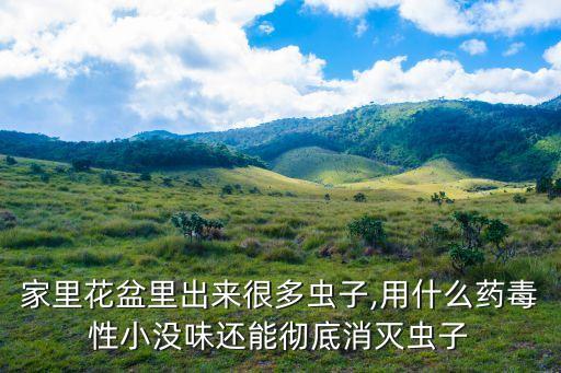 盆土中用什么農藥殺蟲好