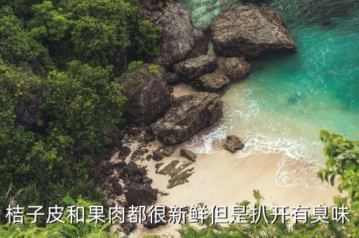 桔子皮和果肉都很新鮮但是扒開有臭味
