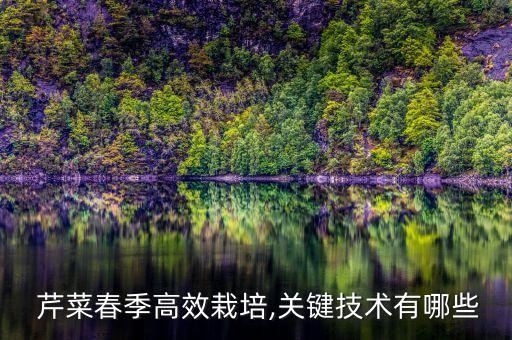  芹菜春季高效栽培,關鍵技術有哪些