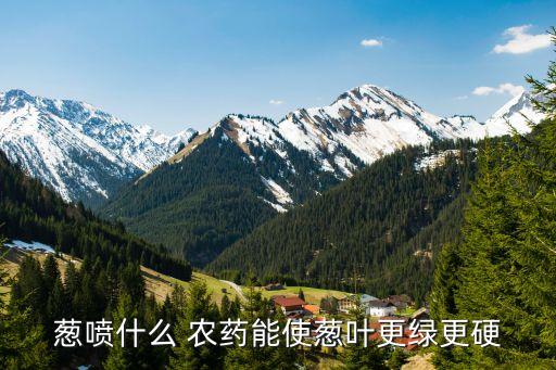 什么農藥能殺死大蔥,大蔥滴什么農藥最好使用