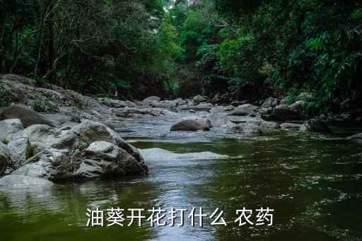 現(xiàn)在拌種用什么農(nóng)藥好,什么農(nóng)藥拌種最好