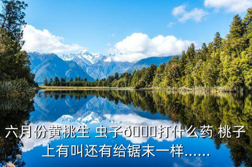 桃子里面的蟲子打什么農藥
