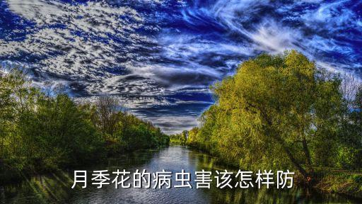 月季種植最怕什么農藥殺菌,種植貝母怕什么農藥